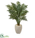 Silk Plants Direct Evergreen Artificial Plant - Pack of 1