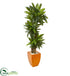 Silk Plants Direct Dracaena Plant - Pack of 1