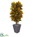 Silk Plants Direct Croton Artificial Plant - Pack of 1
