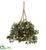 Silk Plants Direct Hoya Artificial Plant Hanging Basket - Pack of 1
