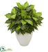 Silk Plants Direct Dieffenbachia Artificial Plant - Pack of 1