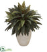 Silk Plants Direct Peacock Artificial Plant - Pack of 1