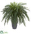 Silk Plants Direct River Fern Artificial Plant - Pack of 1
