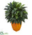 Silk Plants Direct Cordyline Artificial Plant - Pack of 1