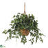 Silk Plants Direct English Ivy Hanging Basket - Green - Pack of 1