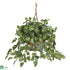 Silk Plants Direct Pothos Hanging Basket - Green - Pack of 1