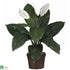 Silk Plants Direct Spathyfillum - Green - Pack of 1