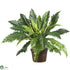Silk Plants Direct Marginatum - Green - Pack of 1