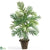 Silk Plants Direct Areca Palm - Green - Pack of 1