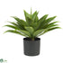 Silk Plants Direct Agave - Green - Pack of 1