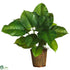 Silk Plants Direct Large Leaf Philodendron - Green - Pack of 1