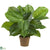 Silk Plants Direct Large Leaf Philodendron - Green - Pack of 1