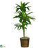 Silk Plants Direct Dracaena - Green - Pack of 1