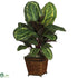 Silk Plants Direct Maranta - Green - Pack of 1