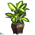Silk Plants Direct Golden Dieffenbachia - Green - Pack of 1