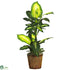 Silk Plants Direct Golden Dieffenbachia - Green - Pack of 1