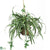 Silk Plants Direct Spider Hanging Basket - Green - Pack of 1