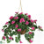 Silk Plants Direct Bougainvillea Hanging Basket - Beauty - Pack of 1