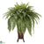 Silk Plants Direct Boston Fern - Green - Pack of 1