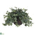 Silk Plants Direct Puff Ivy - Green - Pack of 1