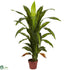 Silk Plants Direct Dracaena - Green - Pack of 1