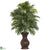 Silk Plants Direct Areca Palm - Green - Pack of 1