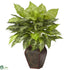 Silk Plants Direct Dieffenbachia - Green - Pack of 1