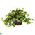 Silk Plants Direct Pothos - Purple - Pack of 1