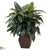 Silk Plants Direct Cordyline - Green - Pack of 1