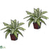 Silk Plants Direct Silver Queen - Green - Pack of 2