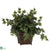 Silk Plants Direct Puff Ivy - Green - Pack of 1