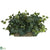 Silk Plants Direct Ivy Set on Foam Sheet - Green - Pack of 1