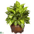Silk Plants Direct Variegated Dieffenbachia - Green - Pack of 1