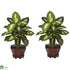 Silk Plants Direct Dieffenbachia - Green - Pack of 2