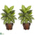 Silk Plants Direct Dieffenbachia - Variegated - Pack of 2