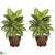 Silk Plants Direct Dieffenbachia - Variegated - Pack of 2