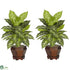 Silk Plants Direct Dieffenbachia - Variegated - Pack of 2