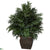 Silk Plants Direct Triple Bamboo Palm - Green - Pack of 1