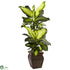 Silk Plants Direct Golden Dieffenbachia - Pack of 1