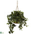 Silk Plants Direct Philo Hanging Basket - Pack of 1