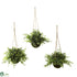 Silk Plants Direct Eucalyptus, Maiden Hair & Berry Hanging Basket - Pack of 1