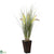 Silk Plants Direct Grass - Pack of 1