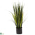 Silk Plants Direct Onion Grass Plant - Pack of 1