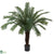 Silk Plants Direct Cycas - Pack of 1