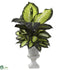 Silk Plants Direct Dieffenbachia - Pack of 1