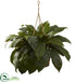 Silk Plants Direct Double Giant Birdsnest Hanging Basket - Pack of 1