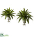 Silk Plants Direct Boston Fern - Pack of 1