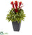 Silk Plants Direct Tropical Bromeliad - Pack of 1