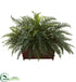 Silk Plants Direct River Fern - Pack of 1