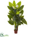 Silk Plants Direct Spathyfillum Plant - Pack of 1